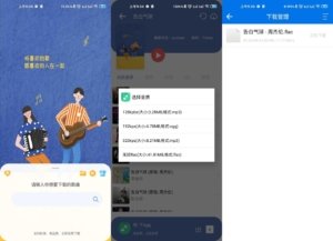 听下音乐v2.1.0plus纯净VIP版/秒杀全网音乐