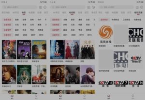 哔嘀影视v2.1.70去广告4K更新版