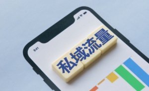 拆解吃透私域爆品操盘术